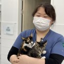 서수원동물병원 네이버블로그