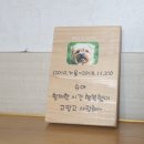 나무와간판 이미지