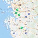 황금카모터스 이미지