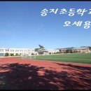 송지송호초교 이미지