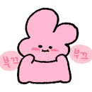 무릉도원면-40 이미지