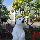 우주선펜션 이미지