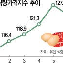 국제 곡물 가격 줄줄이 급등,,,작황 악화에 옥수수 62%·대두 54%↑ 이미지