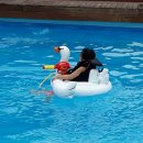 자연숲 펜션 이미지