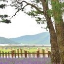 삼문동둔치주차장 이미지