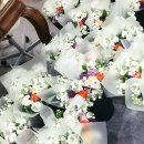 운광초교(병설) 이미지