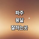파주시 근처 용달이사 추천 전문업체 화물용달 잘하는곳 소형 운송 금액 퀵서비스 대형 견적 다마스...