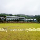휴랜드 네이버블로그