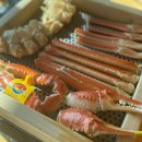 세븐일레븐 영덕강구용진점 | 영덕 가볼만한곳 오션뷰펜션 엑시트 풀빌라