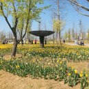 서울식물원 이미지