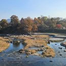 강변에서 이미지