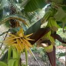 황금종1 이미지