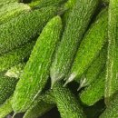 여주약국 이미지