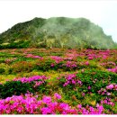 성산교회 앞 버스정류장 이미지