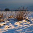 시에스컴퍼니 이미지