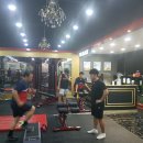 타이거짐 이미지