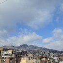 붕카센타 | 얼레벌레 근황