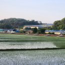 공산축산 이미지