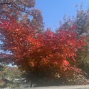 마실길 | 선릉역 막걸리 전문점 선릉마실길 솔직후기