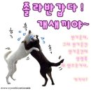 비클릭 이미지