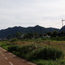 하천(대전천2) 이미지