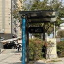 화원중학교 | 화곡 목하사진 증명사진 후기