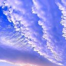 쪽빛바다펜션 이미지