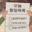 뽈살집제주본점 네이버블로그