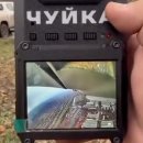 Move in sp 이미지