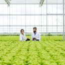 베스트팜 이미지