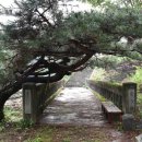 송명식당 이미지