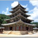 순천-54호 티스토리