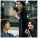 미쎄스