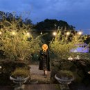 오크라리조트 이미지