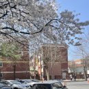 알슨모터스 이미지