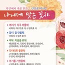 모아미꽃차향기원 이미지