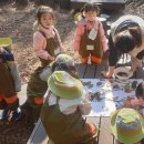 소새울어린이집 이미지