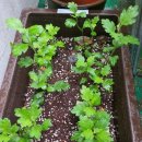 월명농장 이미지