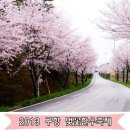 벚꽃한우