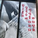 바다상회 이미지