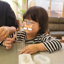 센트트립