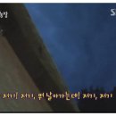 배티농장 Daum카페