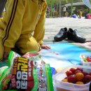 태현초등학교 | 태현초등학교 체육대회 ♡ 마산땅콩캬라멜