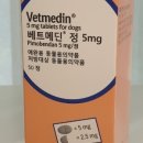 신마산태평양약국 네이버블로그