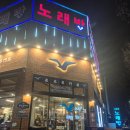 부산갈매기 대전봉명점 | 대전 봉명동 맛집 '부산갈매기 대전봉명점' 방문후기