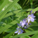 그린바다 이미지