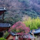 덕유자원 이미지