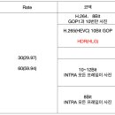 해상도/Rate/코덱/색영역 구분 이미지