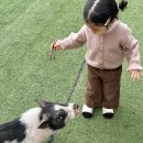 칠곡동물체험카페 | 대구 근교 아기랑 가볼만한 곳 칠곡동물체험카페 칠곡 동물체험 후기