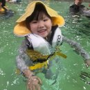 월드당구장 | 홍천 소노벨 비발디파크 패밀리 B동 패키지 3인구성 오션월드 내돈내산 숙박후기